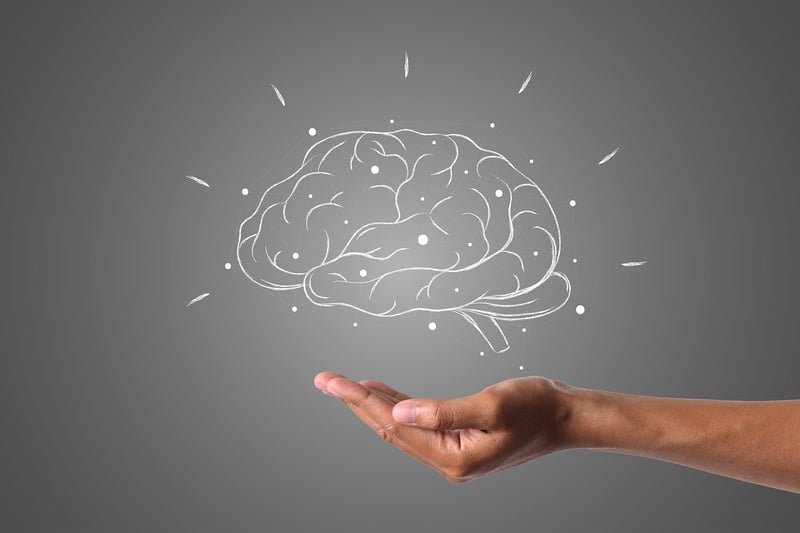 Brain and Intelligence